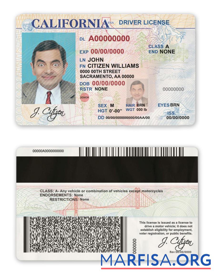 Blank USA California driver license download for verification